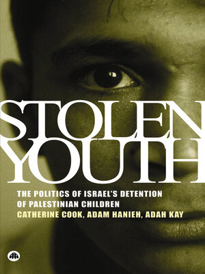 cover image of Stolen Youth